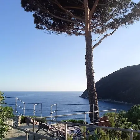 Casafischea19 Daire *