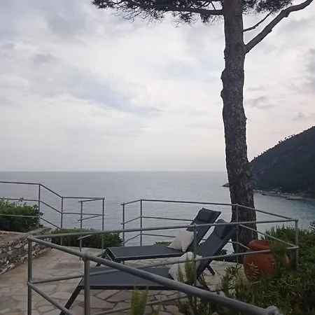 Daire Casafischea19 *