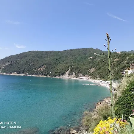 Casafischea19 Via Venino 19 *