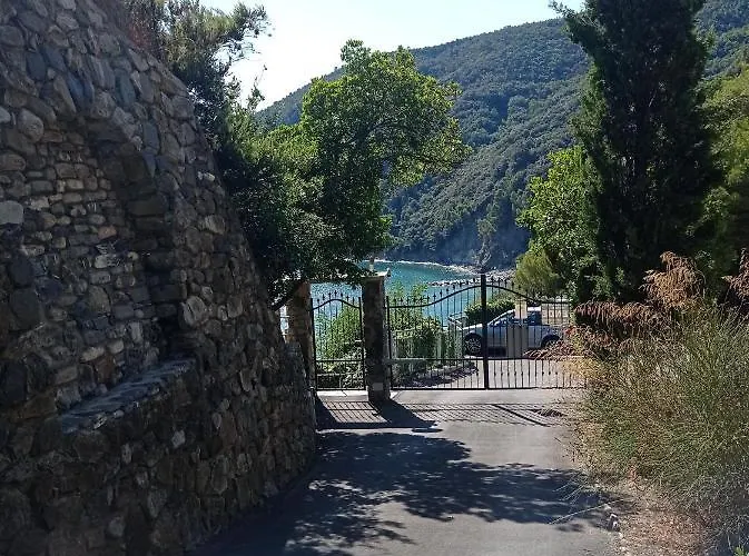 Casafischea19